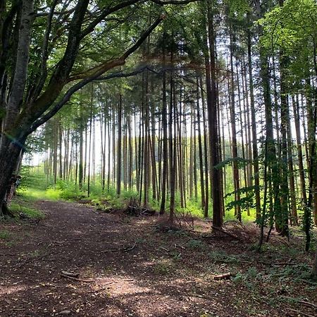 Zimmer Mit Bergblick شتارنبرج المظهر الخارجي الصورة